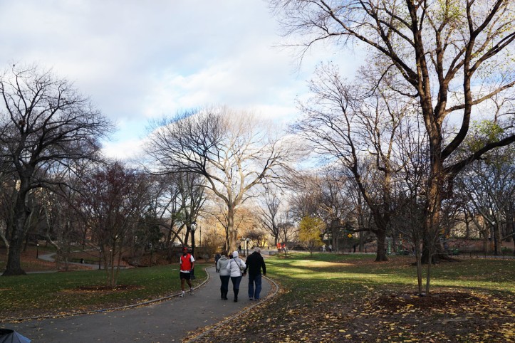 Central Park New york